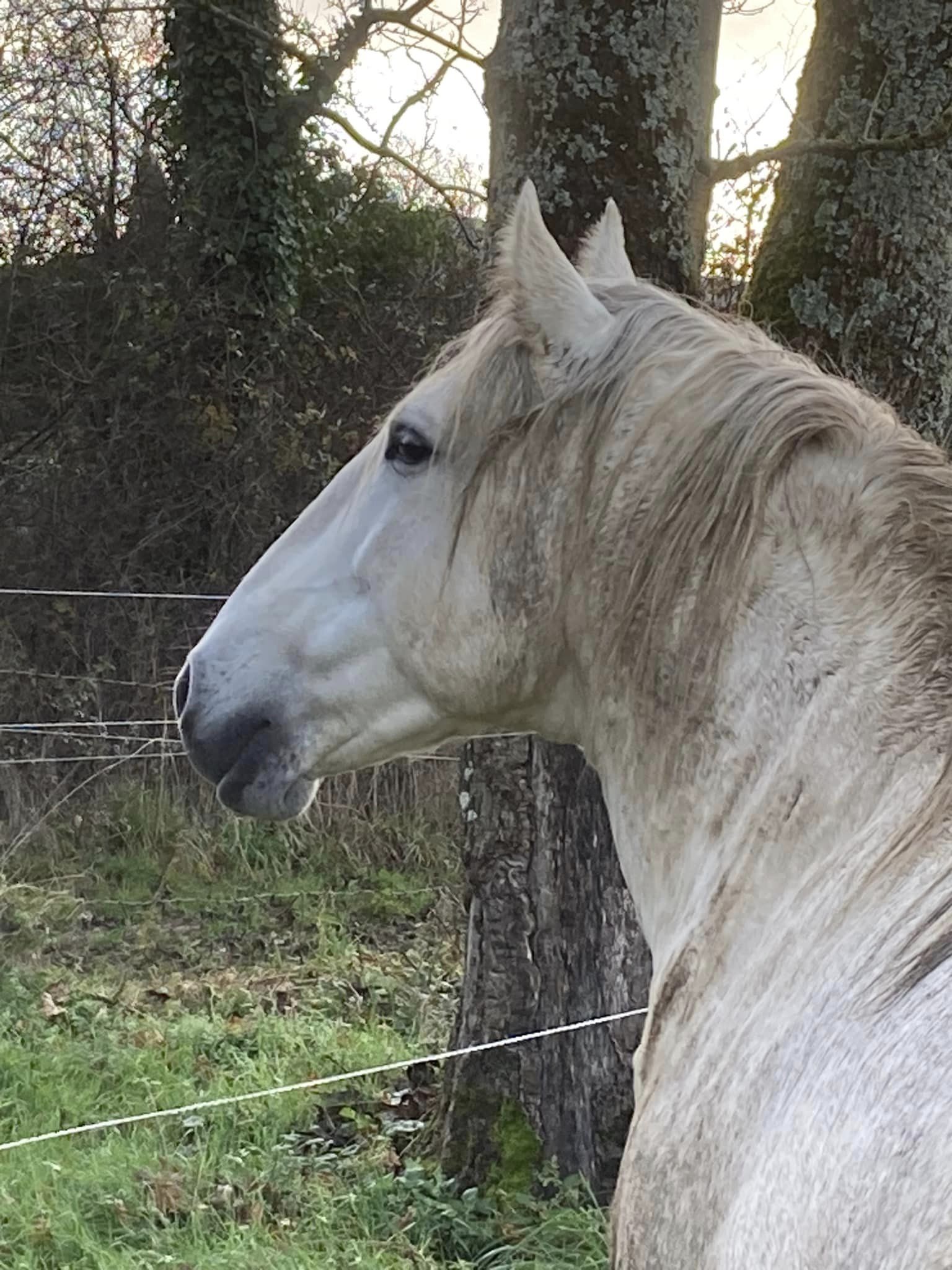 Photo de profil de JALAE
