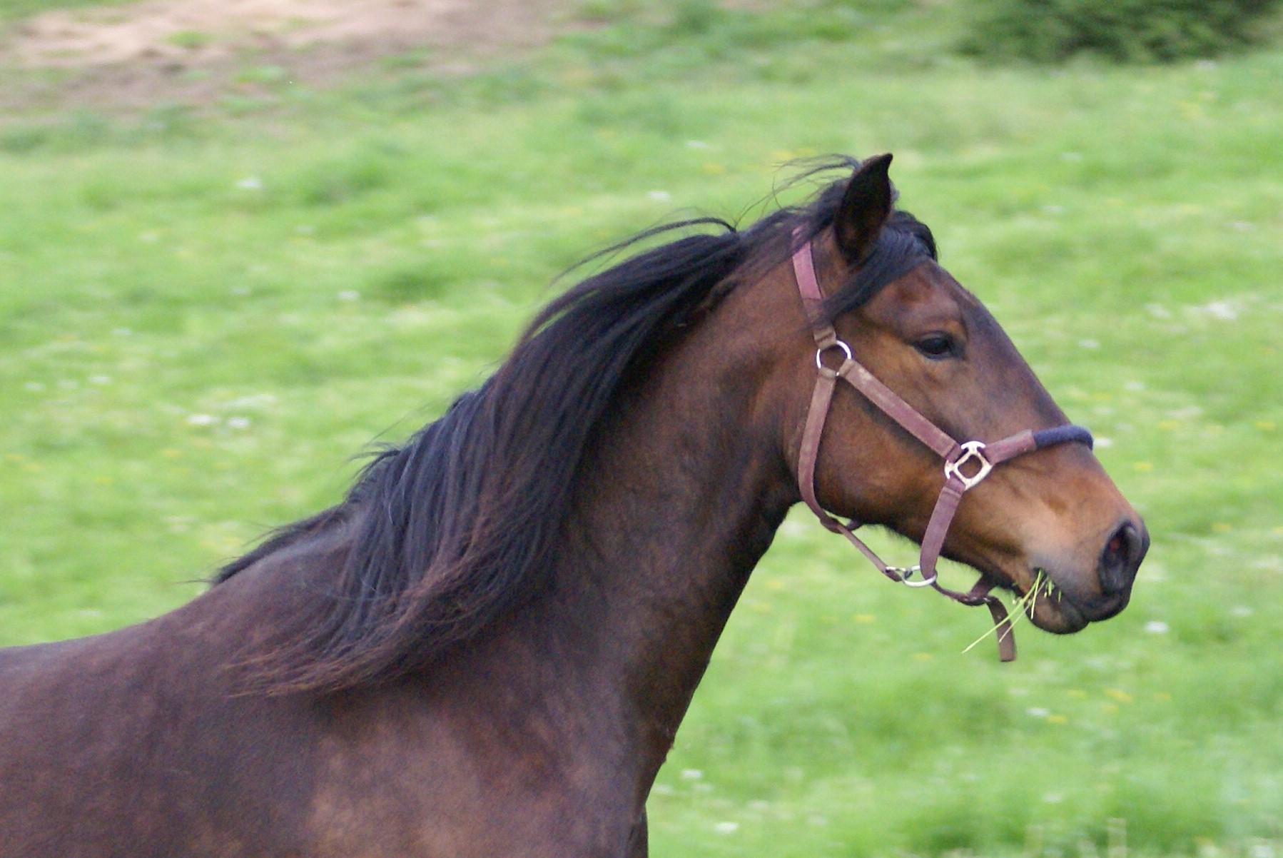 Photo de profil de IOVAH
