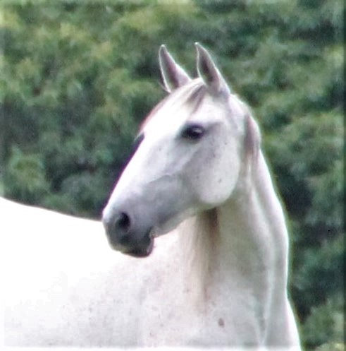 Photo de profil de DAMA